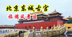 淫荡操逼网址中国北京-东城古宫旅游风景区